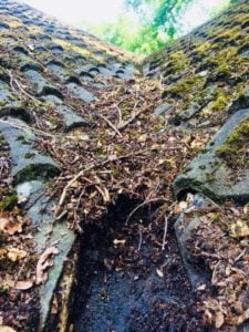 A residential roof with moss and lichen that would benefit from our Roof Moss Removal service