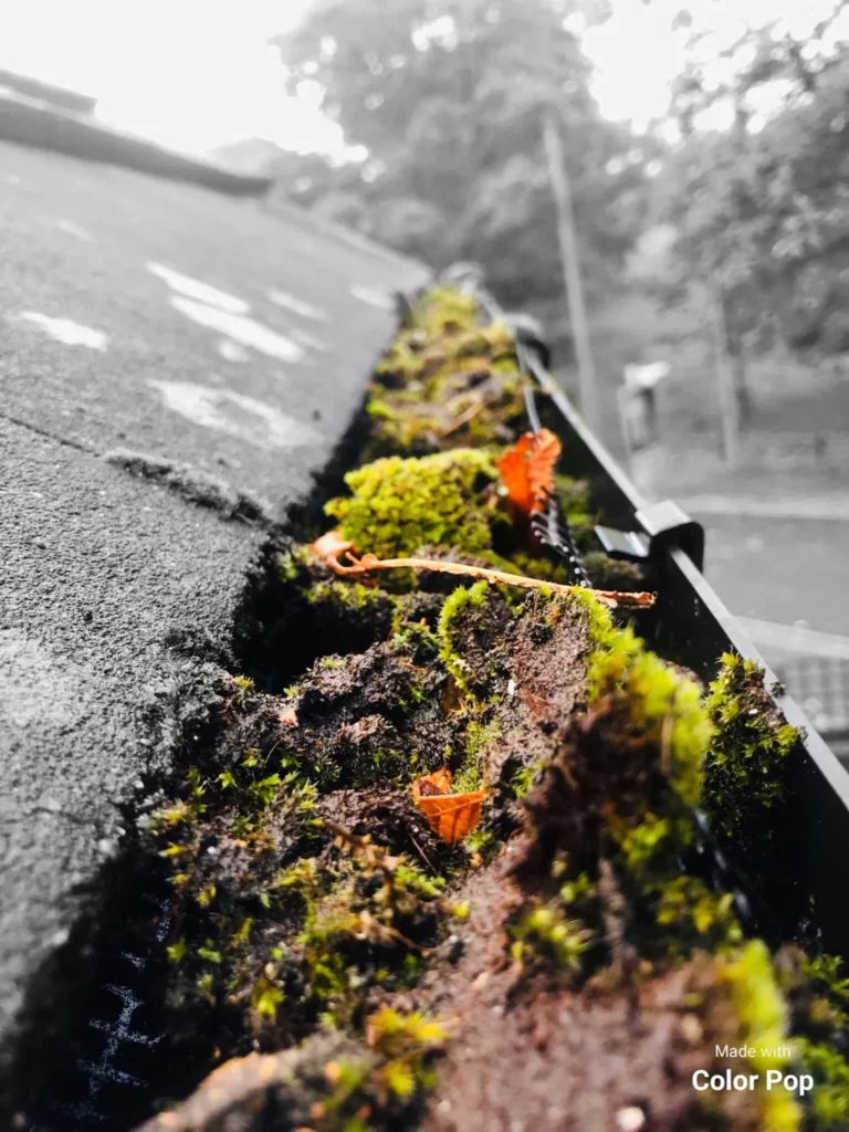 Commercial Gutter Clearance and Inspection