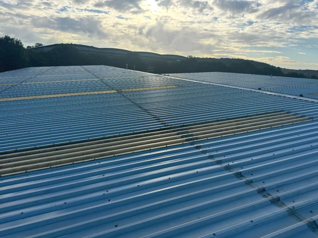 Commercial Expert Roof Cleaning and Treatment